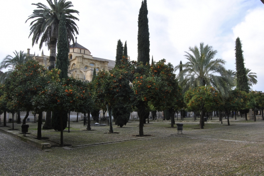 Patio de los Naranjos de la Mezquita-Catedral de Córdoba