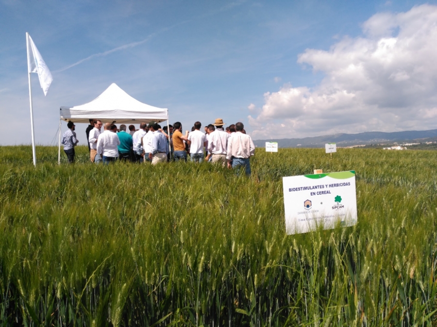 El ceiA3 colabora en unas jornadas sobre bioestimulantes y herbicidas en cereal