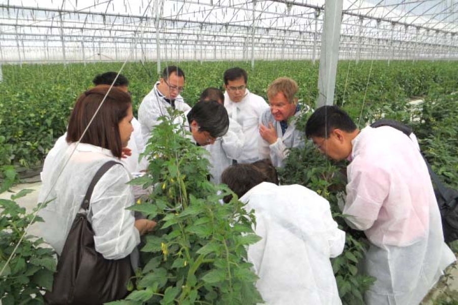Investigadores y empresarios de China conocen el sistema de producción en invernaderos de Almería